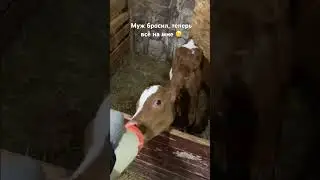 Муж гуляет, жена батрачит 