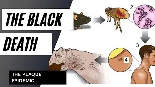 The Black Death Epidemic