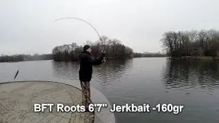 Спиннинг BFT Roots 6'7
