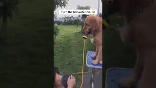 Тепленькая пошла! #funny #viralvideos #memes #приколы