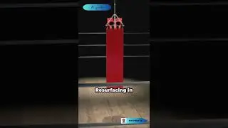 Inside the Ropes II Exploring the Art and Science of Boxing