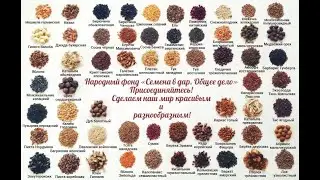 Присоединяйтесь к проекту «Семена в дар. Общее дело»!