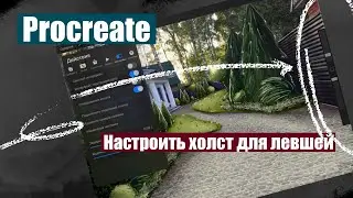 Procreate. Как настроить холст для левшей