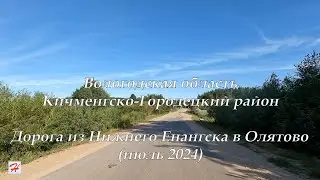 Дорога из Нижнего Енангска в Олятово, июль 2024 года (Кичменгско-Городецкий район)