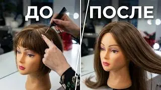 Short hair. Basic knowledge.