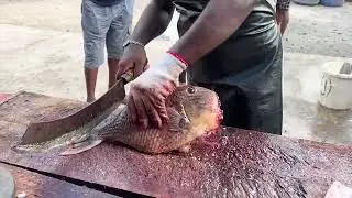 Hardstone like fish cutting skill|| chopping the hard skin||fishcutting|| fish and fishing||