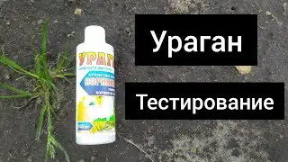 Weed killer URAGAN (herbicide). Testing.