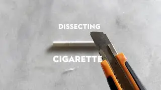 DISSECTING A CIGARETTE   #asmr #asmrsounds