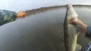 РЫБАЛКА В ТОМСКОЙ ОБЛАСТИ .ТОП ПРИМАНОК ДЛЯ ОСЕННИЙ РЫБАЛКИ