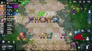 Auto Chess Mobile (Few Games)