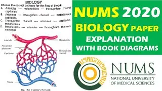 NUMS BIOLOGY 2020 | NUMS PAST PAPERS | NUMS BIOLOGY | FULL PAPER EXPLAINED WITH BOOK REFERENCES