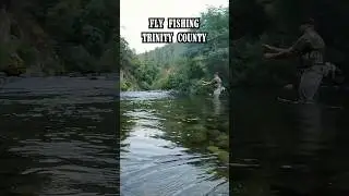 Fly Fishing for Rainbow Trout in Amazing Trinity County #shorts #fishing #fish