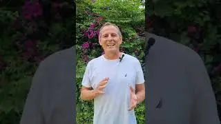 איך להרגיל את הילד הפנימי המרדן לשנות הרגלים רעים להרגלים טובים