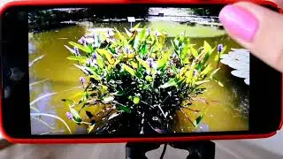 Как улучшить качество видео на ютубе.