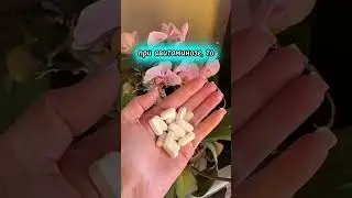 Читай описание #питание #витамины #мультивитамины #энергия