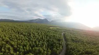 Antalya Harika Ormanları