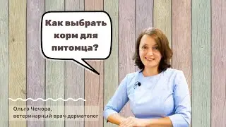 Как выбрать корм для своего питомца?