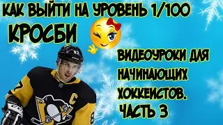 Хоккей без границ. Часть 3.