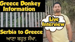 Greece donkey via Serbia Donkey - Serbia Donkey Greece donkey information punjabi in greece