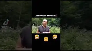 Лев ворона и косяк!!! смех до слез!!!)))