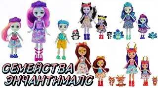 Семейства Enchantimals🆕Горячие новости Энчантималс😱Новый мальчик Enchantimals🤩ждём новинки 2022😎