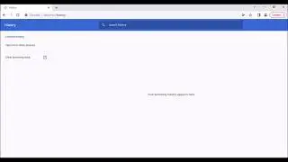 Chrome 93.0.4577.63 Version History Displaying Issue