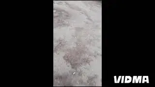 Влог для вас