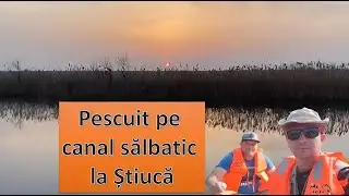Pescuit pe canal salbatic la stiuca (Fishing on the wild canal with pike)