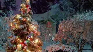 Merry Christmas - Regard sur Noël