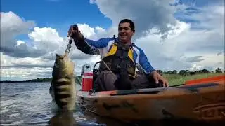 Bati meu recorde de Azul, 62cm, pescaria top no Rio Paranaiba