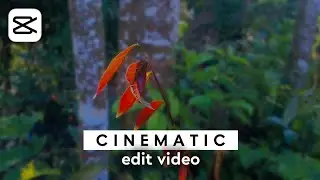 How to Edit Cinematic Videos on Android - Capcut Tutorial