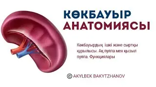 Sadraddin - АНТ / Жүрегіммен ант бердім (slowed)