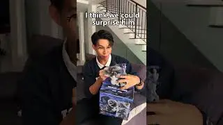 Let's surprise him