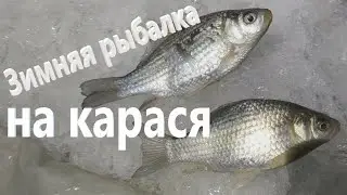 Зимняя рыбалка на карася.