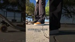 Rating Skate Shoes Pt. ??? (NIKE SB Dunk Low Pro)