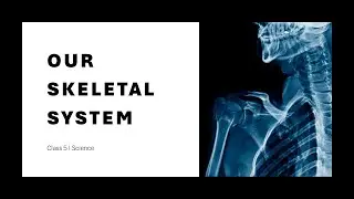 The Skeletal System | Class 5 | CBSE | Science | Quick Revision | NEP 2020| Science Olympiad