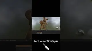 Rat House Timelapse