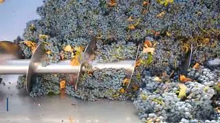 Cantine Riunite & CIV use Movicon SCADA software to improve monitoring & control of wine production