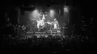 Brutto live