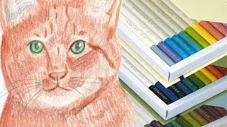 Irojiten Colored Pencils - The cats of Ginger Kitties Four