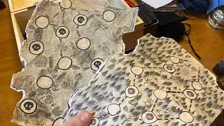 Checking out Inscryption maps!
