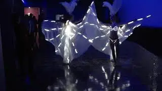 MERLION Marfa Show Светлячки