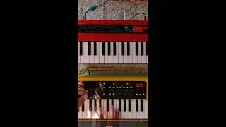 Blossom Bisquits Non stop  Jam Compilation