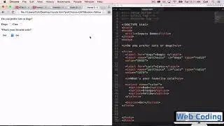 HTML: 19  Dropdowns and Radio Buttons