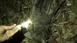 YOS HAV ZOOV TUA HOS HUAM TUA YIJ