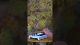 OP-Z Joshua Tree Jammin