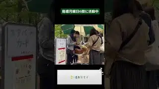 【部活・サークル紹介】国際政治経済学部公認学生団体SANDS