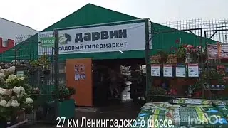 Посадочный материал в садовом центре Дарвин.