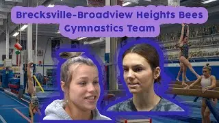 Brecksville-Broadview Heights Bees Gymnastics Team