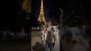 Tour de France #dogstravel #travel #avtotravel